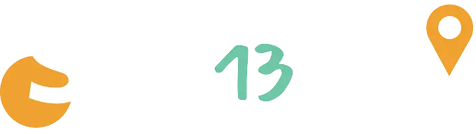 SAS MV13